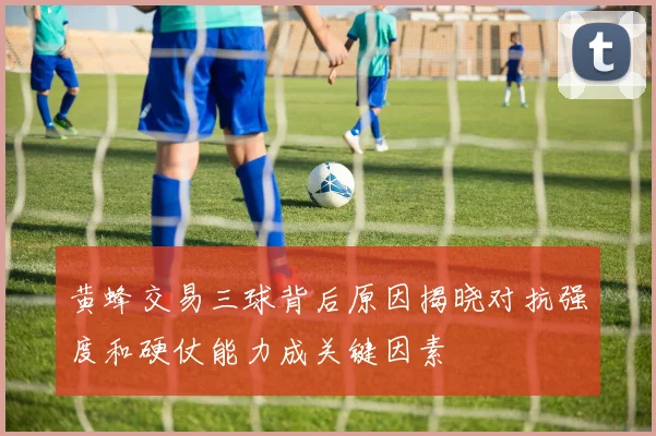 黄蜂交易三球背后原因揭晓对抗强度和硬仗能力成关键因素